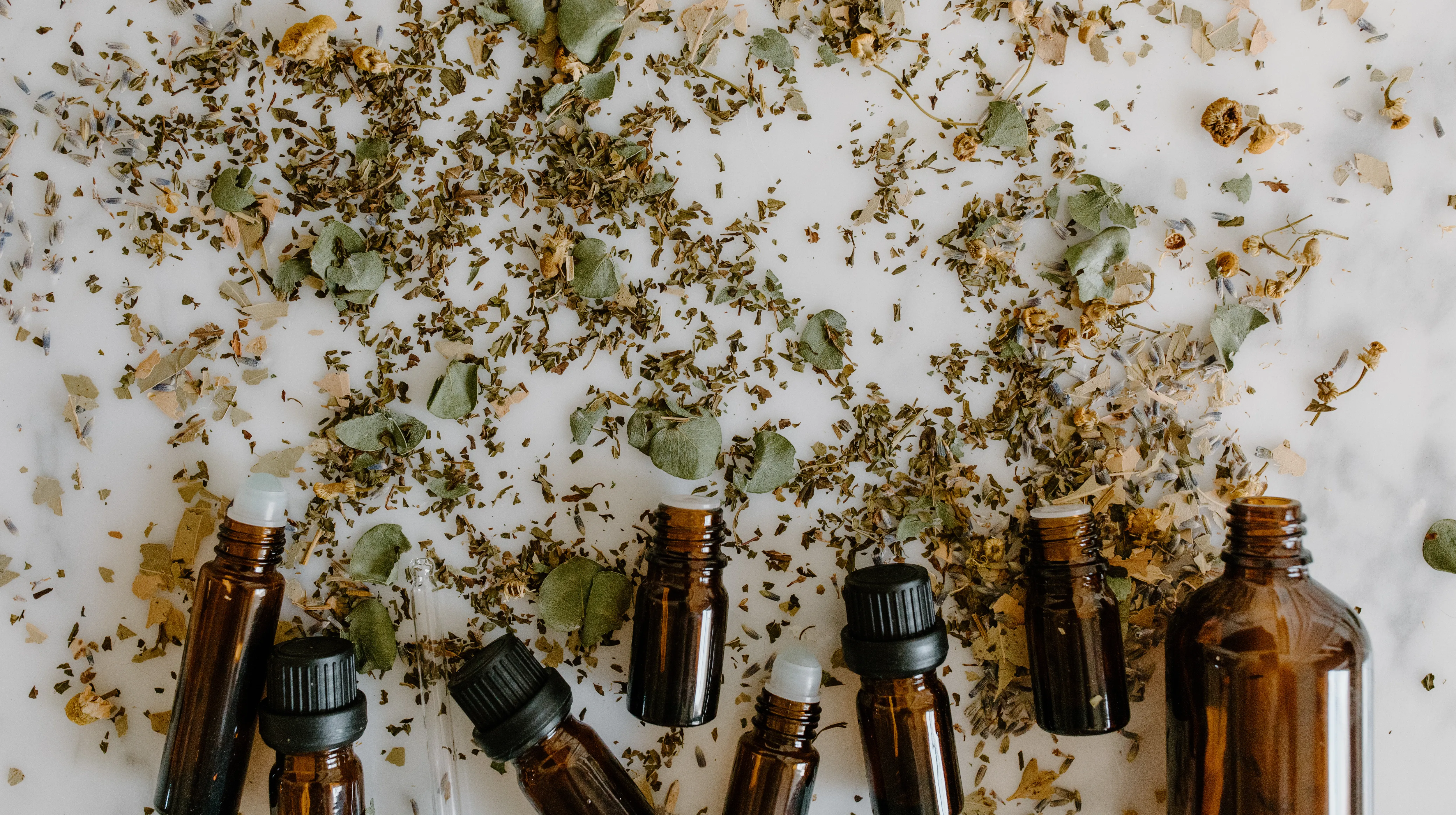 Heilpraktik Heilpraktik